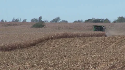 Combine Cutting Stock Footage 36571263