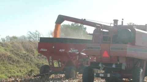 Combine dumping corn in bins Video stock 1062516