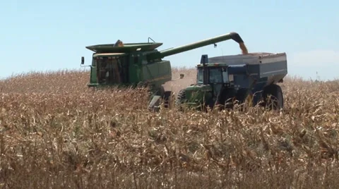 Combine Dumping Corn Stock Footage 36580077