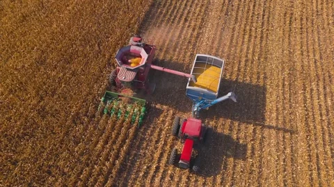 Combine dumping corn Stock Footage 295366601