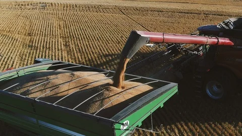 Combine dumping grain into tractor grain cart Vídeo Stock 125841820
