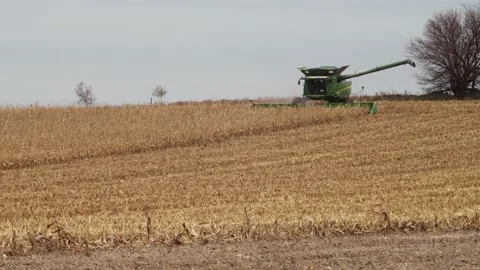 Combine during harvest Stock-Footage 234333261