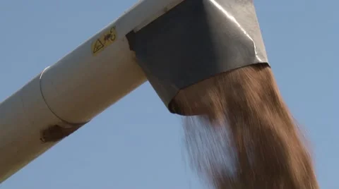 Combine elevator tank working Stock Footage 54612358