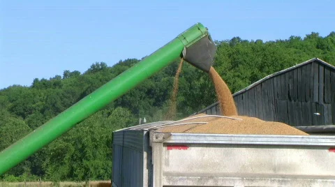 Combine Emptying Wheat 02 Stock-Footage 623987