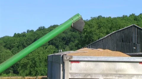 Combine Emptying Wheat 02 Stock-Footage 8600708