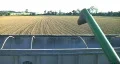 Combine Emptying Wheat HD Footage