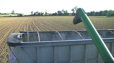 Combine Emptying Wheat Stock Footage 8646111