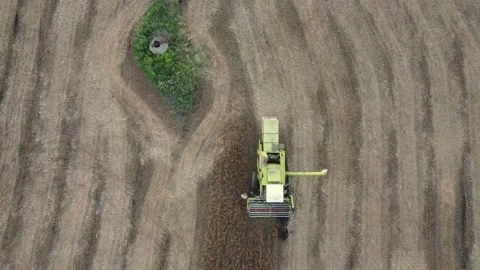 The combine failed during the harvest Stock Footage 162270973