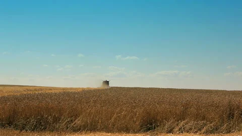 Combine far into the field Stock Footage 102169446