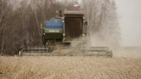 Combine on the field 2 Stock Footage 31958170