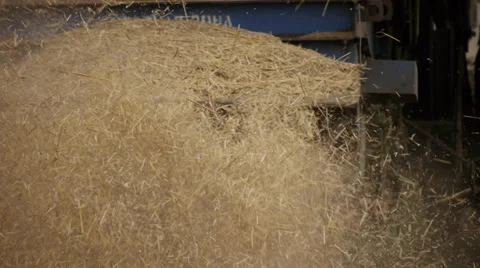 Combine on the field 3 Stock Footage 31958161