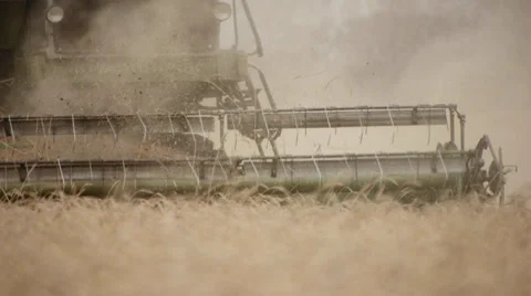 Combine on the field 4 Stock Footage 31958051