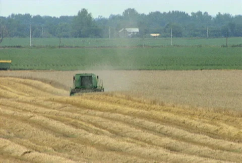 Combine In Field Stock Footage