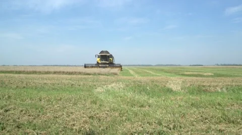 Combine in a field Stock Footage 61126915