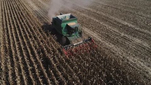 Combine in the field. Stock Footage 97869591
