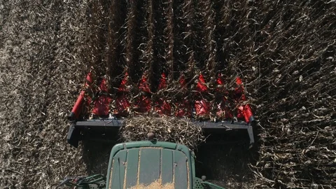 Combine in the field. Stock Footage 97869616