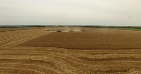 Combine in the field harvests wheat Stock Footage 178493060