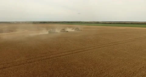 Combine in the field harvests wheat Stock Footage 178493087