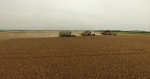 Combine in the field harvests wheat Stock Footage 178493586