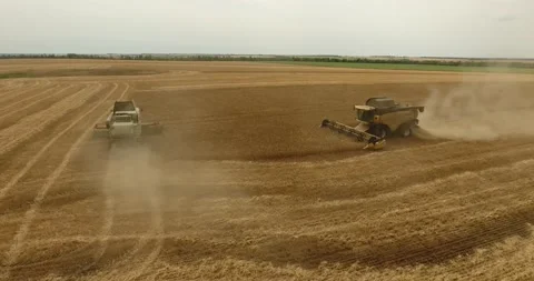 Combine in the field harvests wheat Stock Footage 178494446