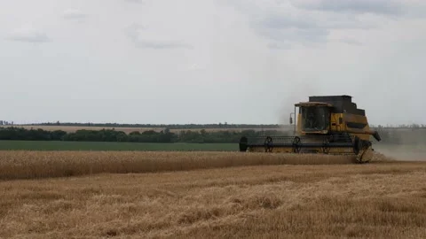Combine in the field harvests wheat Stock Footage 178563171