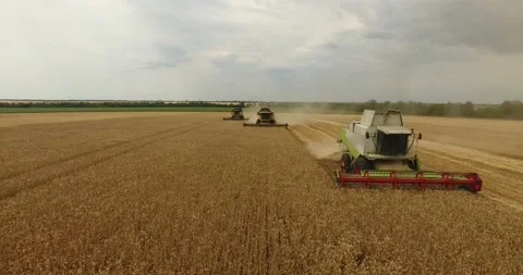 Combine in the field harvests wheat Stock Footage 194433783