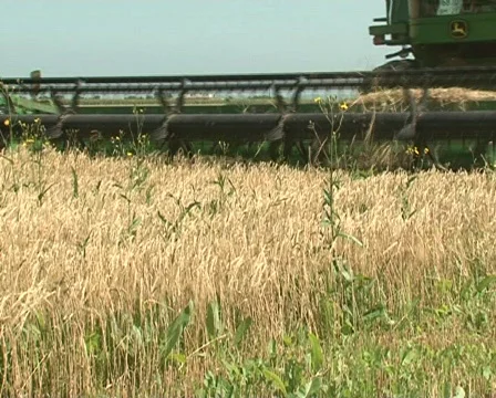 Combine Video stock 511481