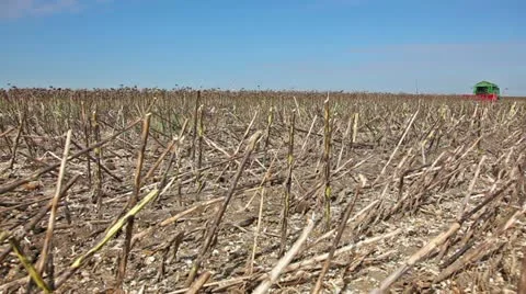 Combine Stock Footage 24663749