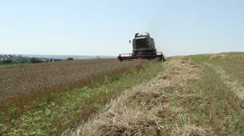 The combine Stock Footage 52538155