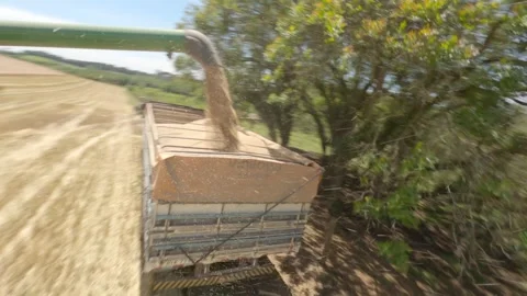 Combine FPV 11 Vídeo Stock 288384224