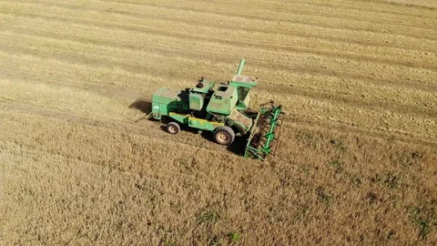 The combine goes through the field and removes the wheat 動画素材 93987586