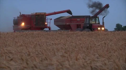 Combine as grain cart pulls away Stock-Footage 42346447