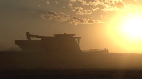 Combine Grain Cart Sunset Stock Footage 35596173
