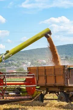 Combine grain unloading in a close -up trailer. background of the sky with Stock Photos