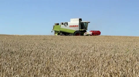 Combine harvest Stock Footage 52538033