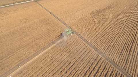 Combine harvester 06 Stock Footage 126316387