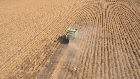 Combine harvester 07 Stock Footage 126316030