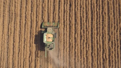 Combine harvester 08 Stock Footage 126316452