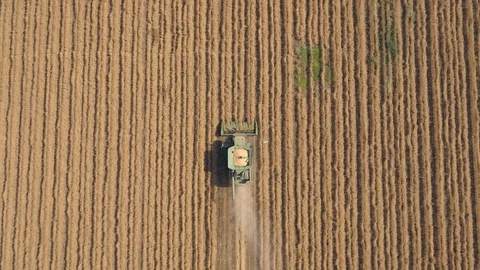 Combine harvester 09 Stock Footage 126316595