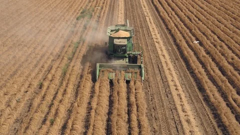 Combine harvester 10 Stock Footage 126316533