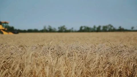 Combine harvester, accelerated survey Video stock 84490646
