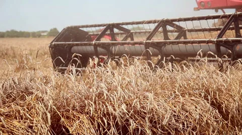 Combine Harvester in Action Stock Footage 27502682