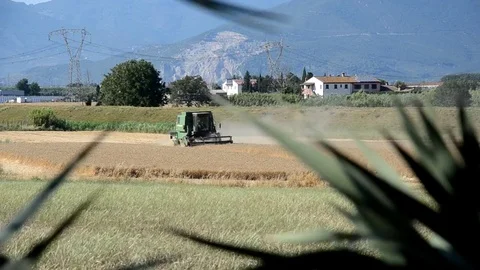 Combine harvester in action Stock Footage 77154371