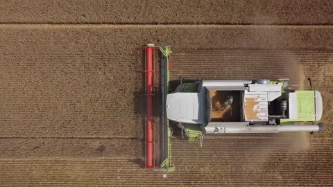 Combine harvester in action Stock Footage 135975196