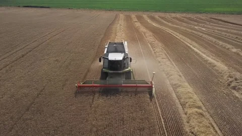 Combine harvester in action Video stock 135976622