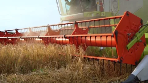 Combine harvester on an agricultural field harvests grain, Reaper close-up Stock Footage