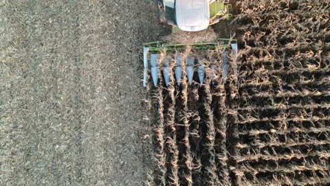 Combine harvester and corn Stock-Footage 161045556