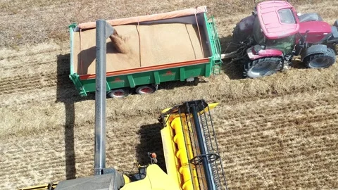 Combine Harvester and Tractor in Action Stock Footage 279848665