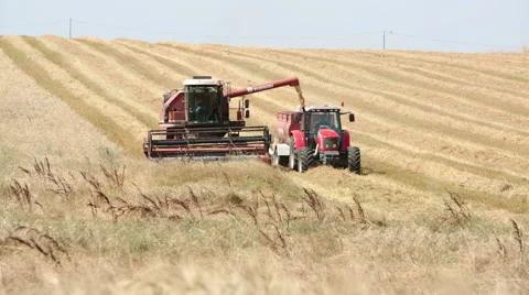 Combine harvester and tractor at work in a field of wheat: agriculture Video stock 40297506