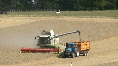 Combine harvester and a tractor at work Stock Footage 41368384